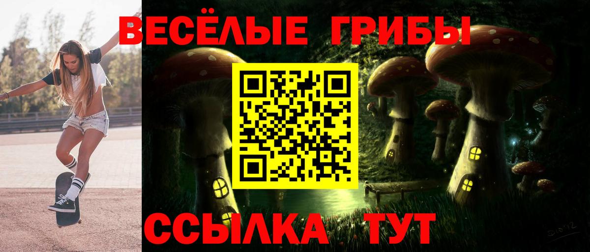 Галлюциногенные грибы Cubensis Нарьян-Мар