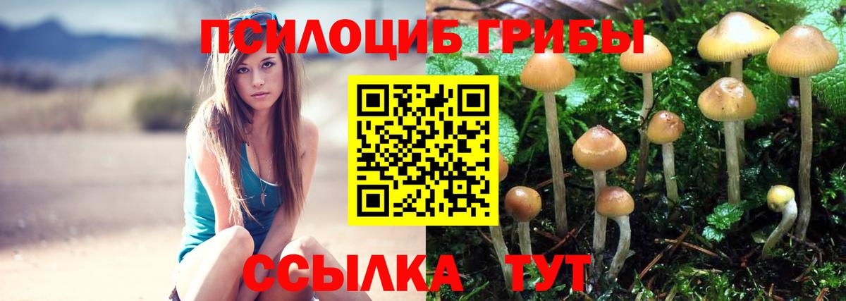 Галлюциногенные грибы мицелий  Псилоцибиновые грибы Magic Shrooms  купить  сайты  Нарьян-Мар  Вход с VPN 
